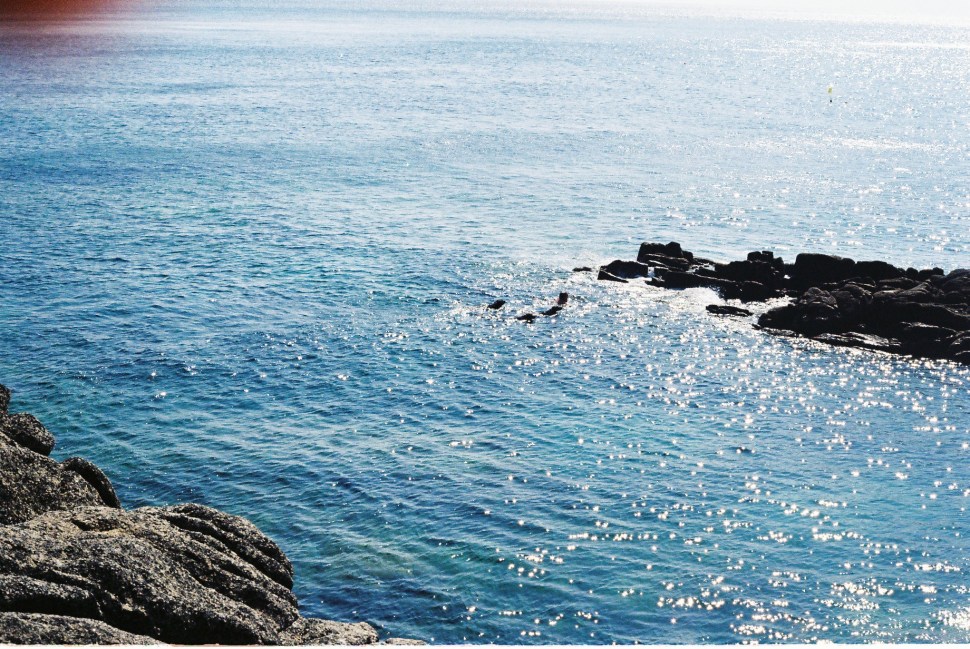 Cot Valley, Cornwall | Photo © Rosie Pentreath